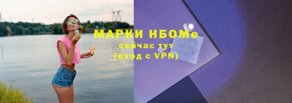 хмурый Аркадак