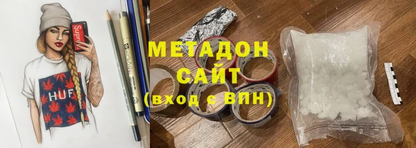 хмурый Аркадак