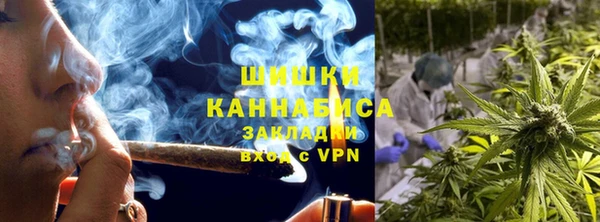 хмурый Аркадак