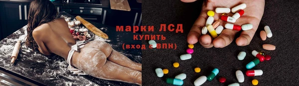 хмурый Аркадак