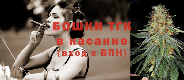 хмурый Аркадак