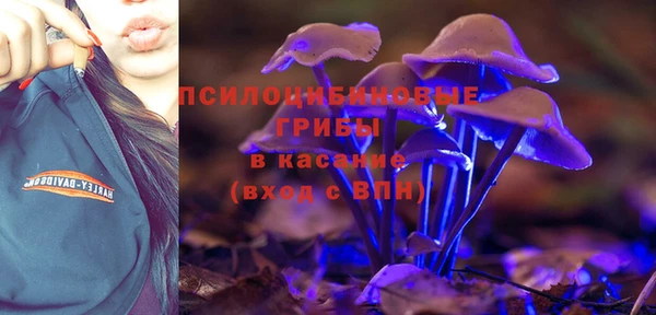 PSILOCYBIN Армянск