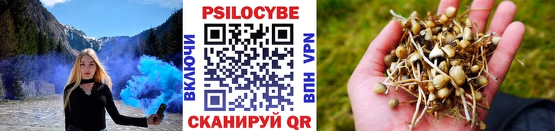Галлюциногенные грибы прущие грибы цена Нововоронеж